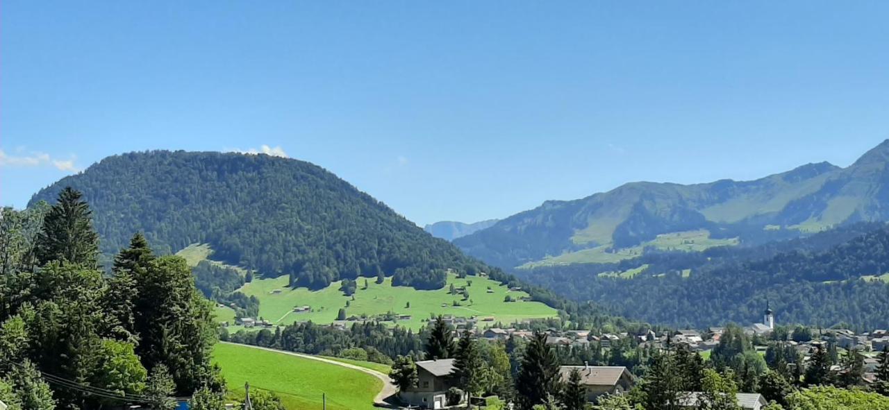 Ferienwohnung Schoenenbuehl Hittisau Exterior photo